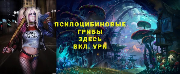 дурь Арсеньев