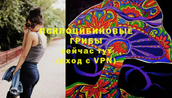 спиды Аркадак