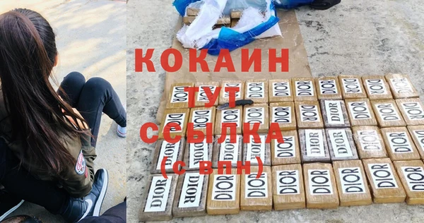 крисы Армянск